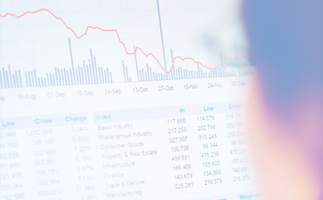 Data Analysis Services